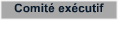 Comit excutif